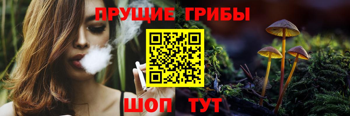 как найти закладки  Вход с VPN  Ростов-на-Дону  Галлюциногенные грибы Magic Shrooms 